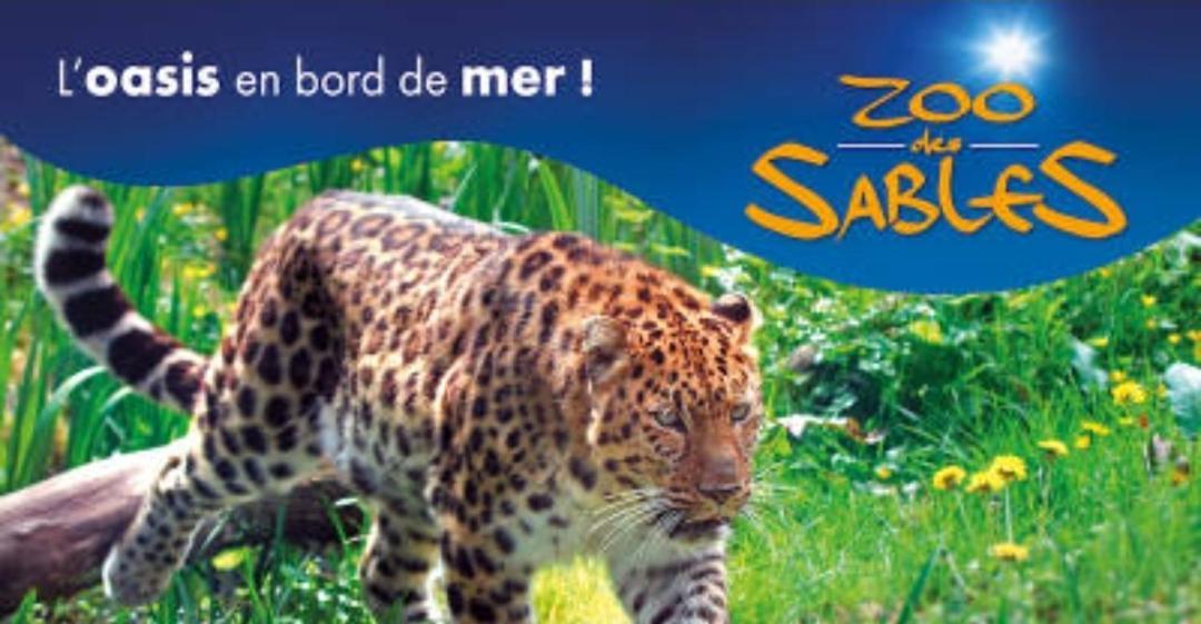 Remblai Des Sables D'Olonne - 2 Chambres - Parking Et Piscine Les Sables-d'Olonne Bagian luar foto